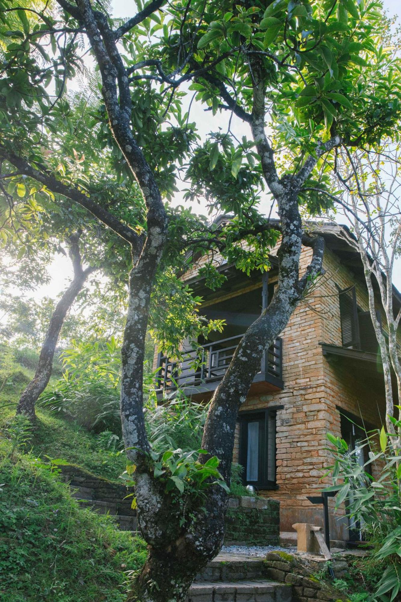 Tiger Mountain Pokhara Lodge Exteriör bild
